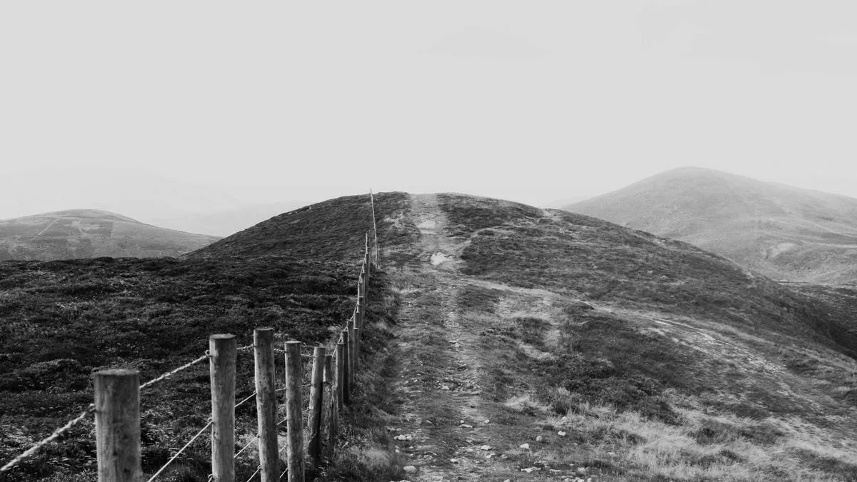 Cover image for Write the boring version first